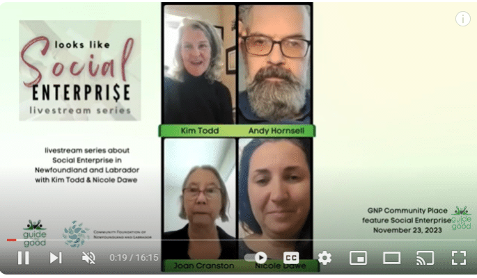 Looks Like Social Enterprise logo with three women, and logos of Guide to the Good, Community Foundation of Newfoundland and Labrador, and St. John's Status of Women Council 